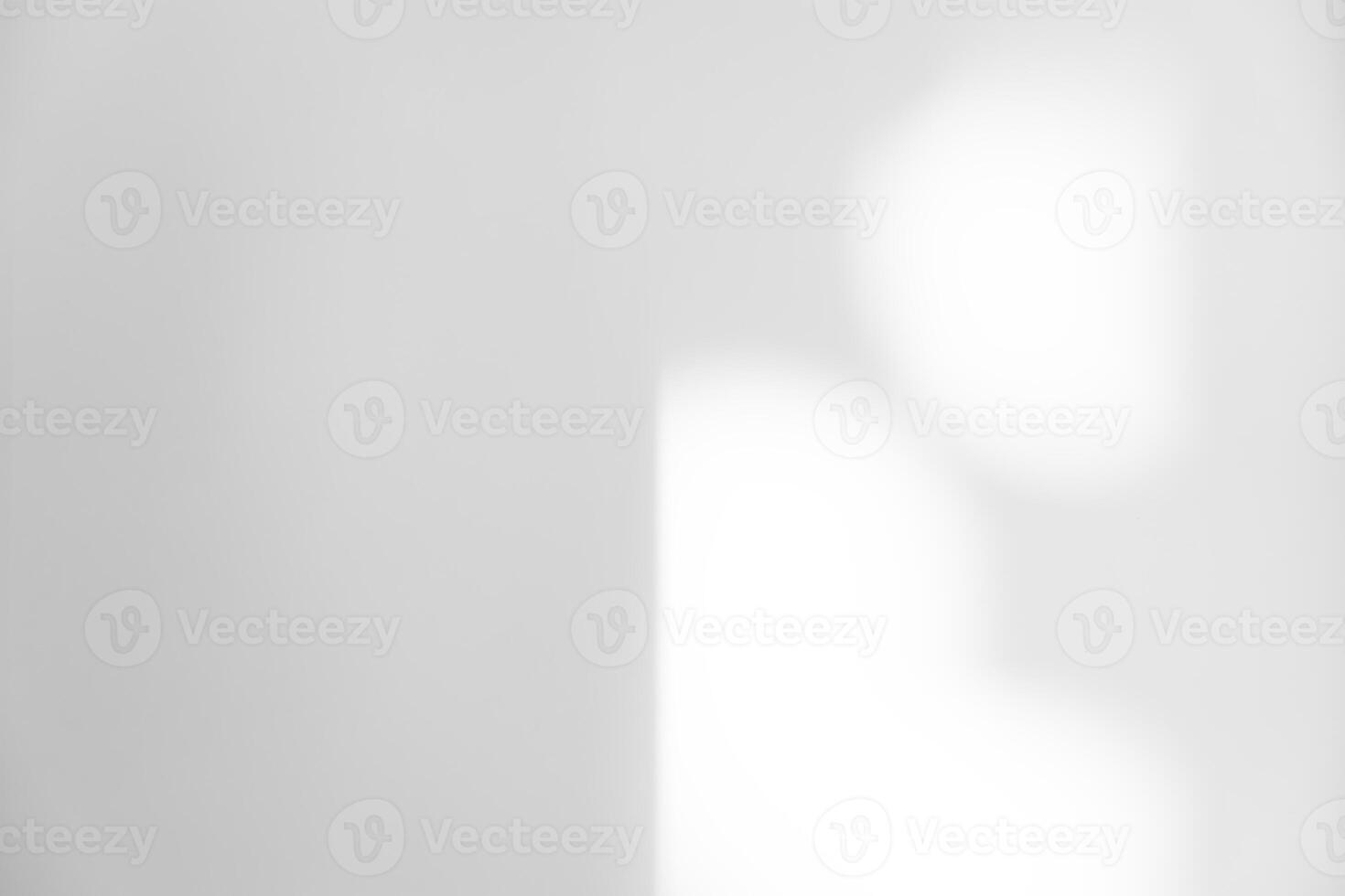 Background White Wall Studio with Shadow Leaves,light on Smooth Surface Texture,Empty White Plastic Room with sunlight reflection on wall,Backdrop for Cosmetic Product Present photo