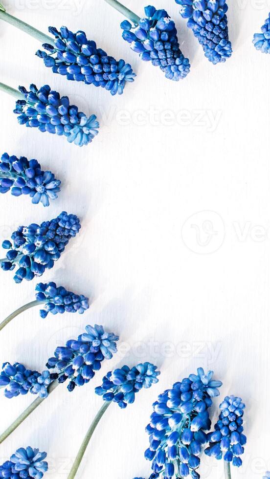 Blue texture background line simple - 99 photo