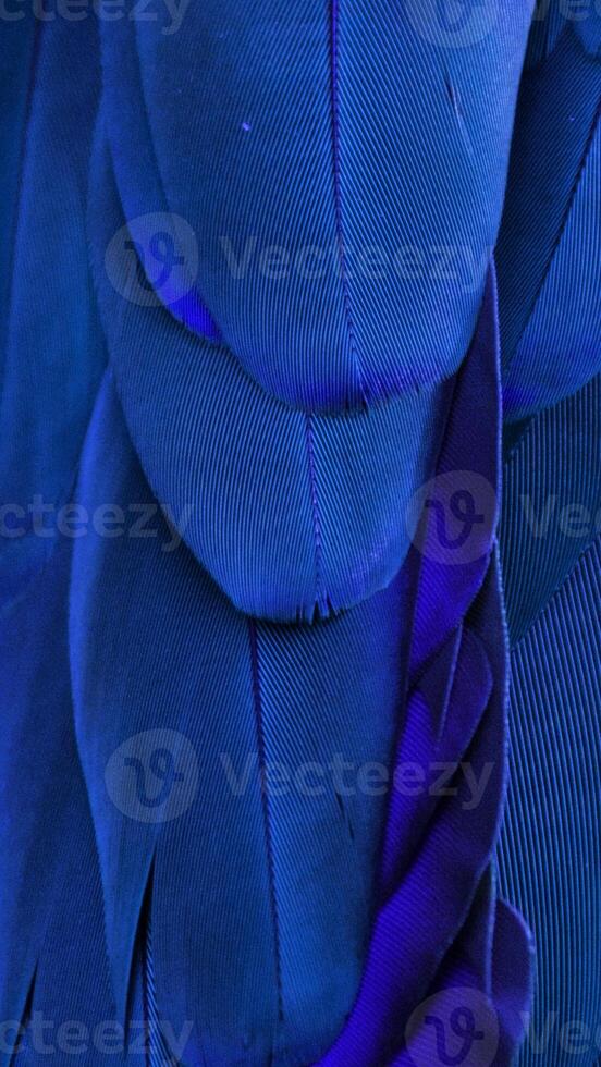 Blue texture background line simple - 153 photo