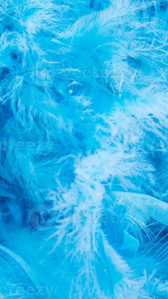 Blue texture background line simple - 195 photo