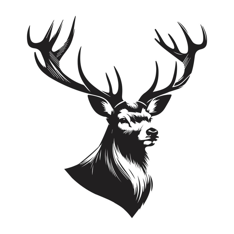 Buck Deer Logo, Simple Vector of Buck Deer, Great for your Hunting Logo, Deer Logo  Isolated on white background