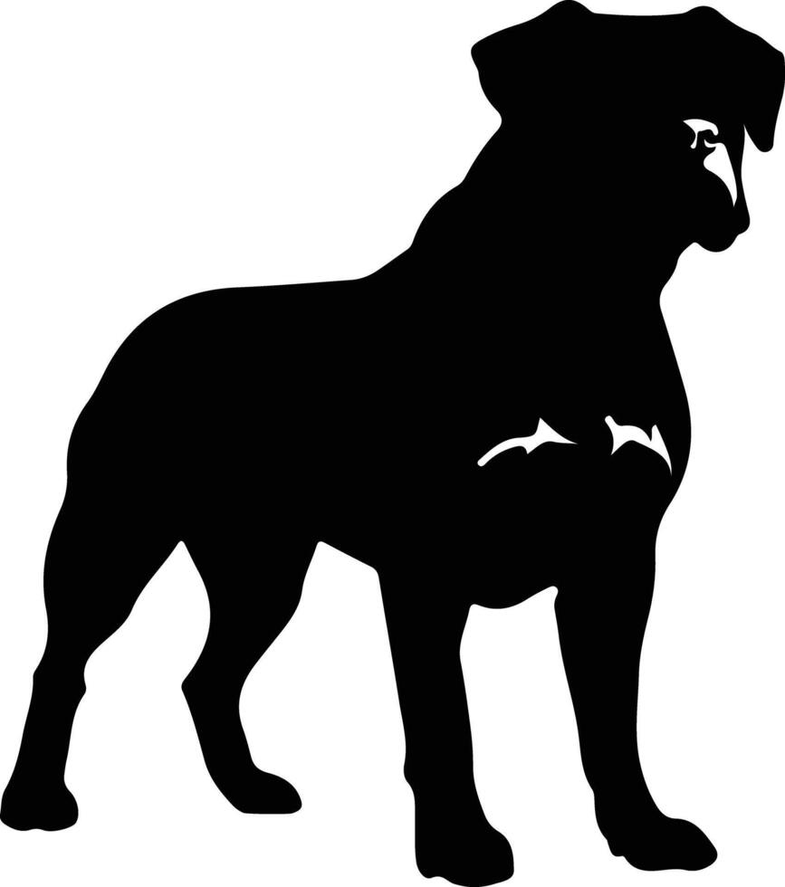 Cane Corso   black silhouette vector