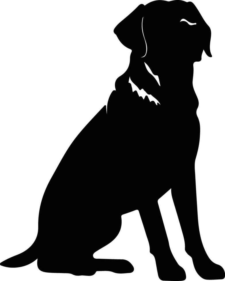 Chesapeake Bay Retriever   black silhouette vector