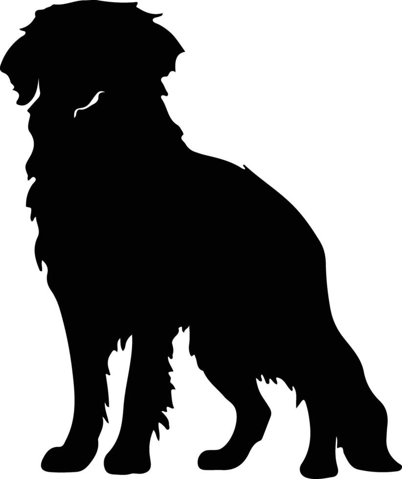 Kuvasz  silhouette portrait vector