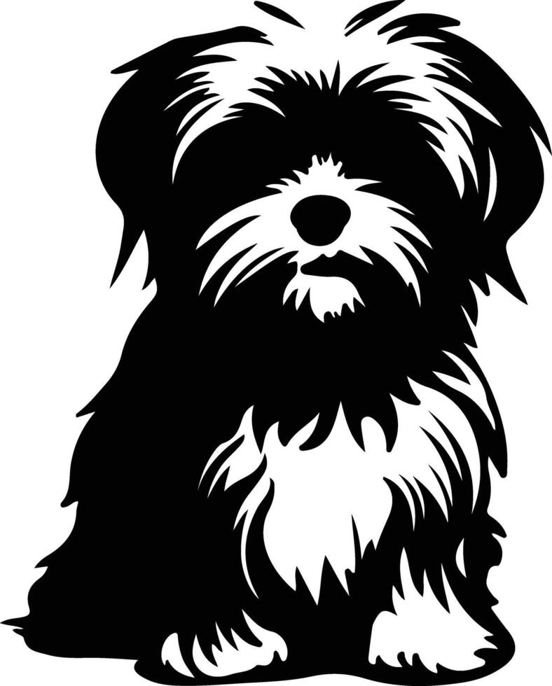Maltese    black silhouette vector