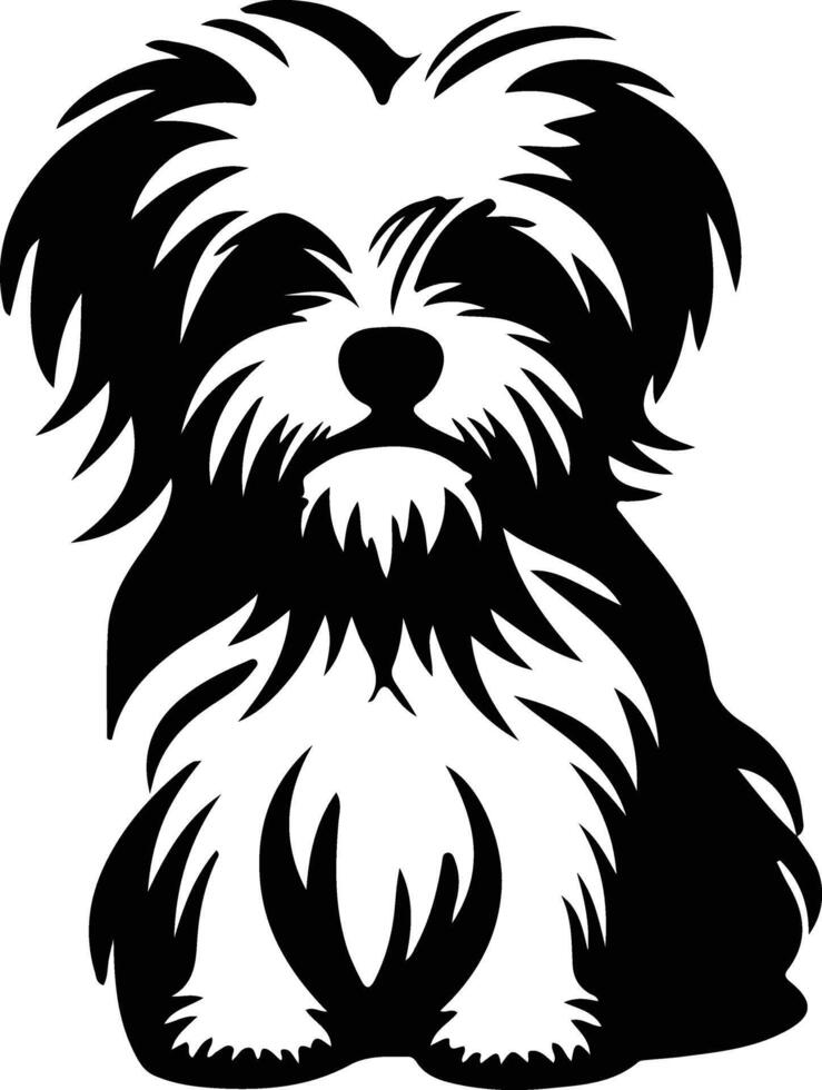 Maltese    black silhouette vector