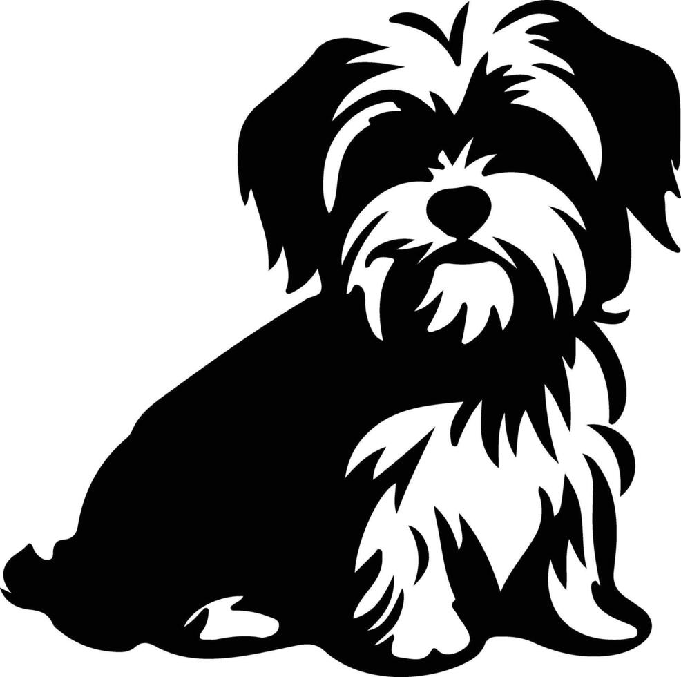 Maltese   black silhouette vector