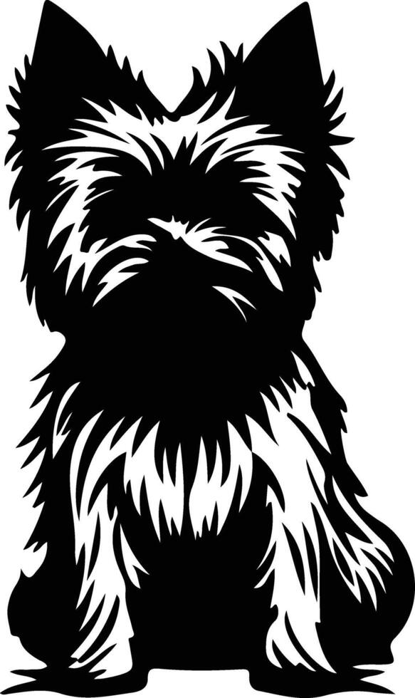 Norwich Terrier    black silhouette vector