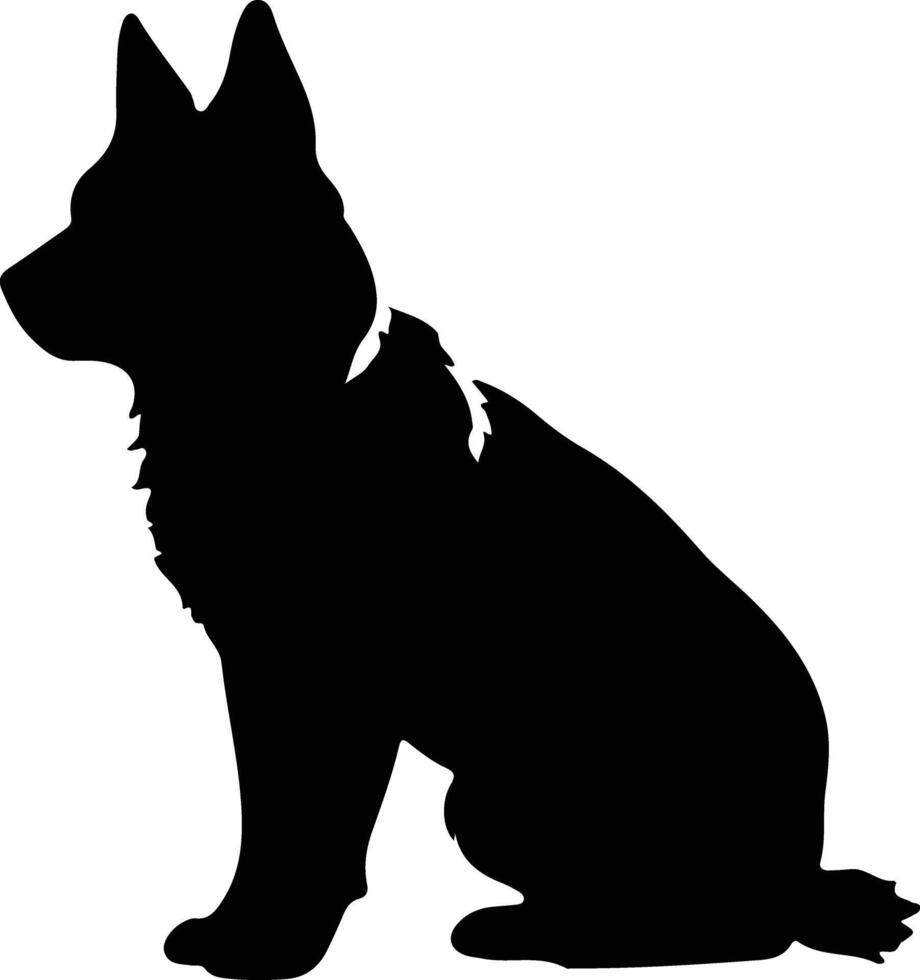 Norwegian Elkhound   black silhouette vector