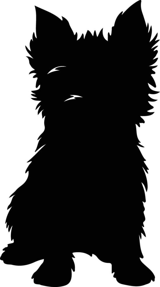 Norwich Terrier    black silhouette vector