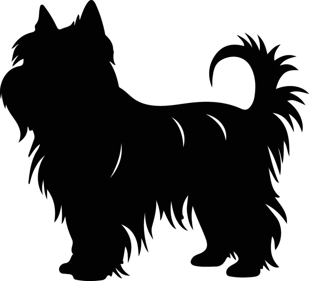 Skye Terrier   black silhouette vector