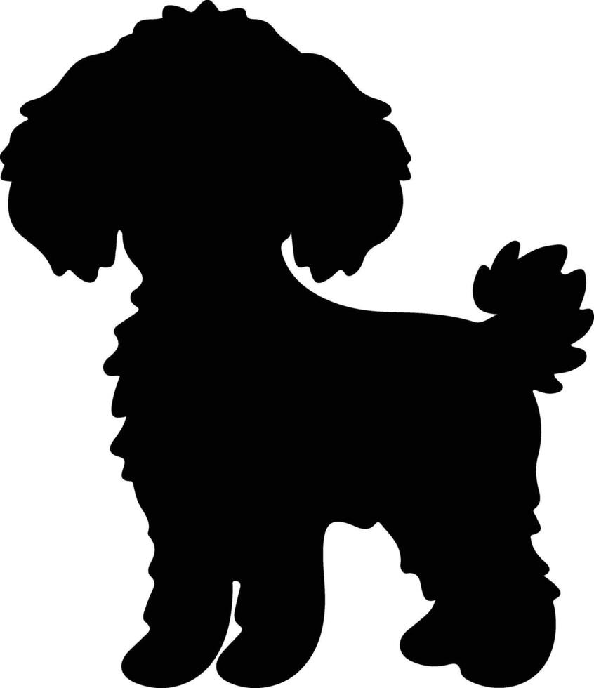 Toy Poodle   black silhouette vector