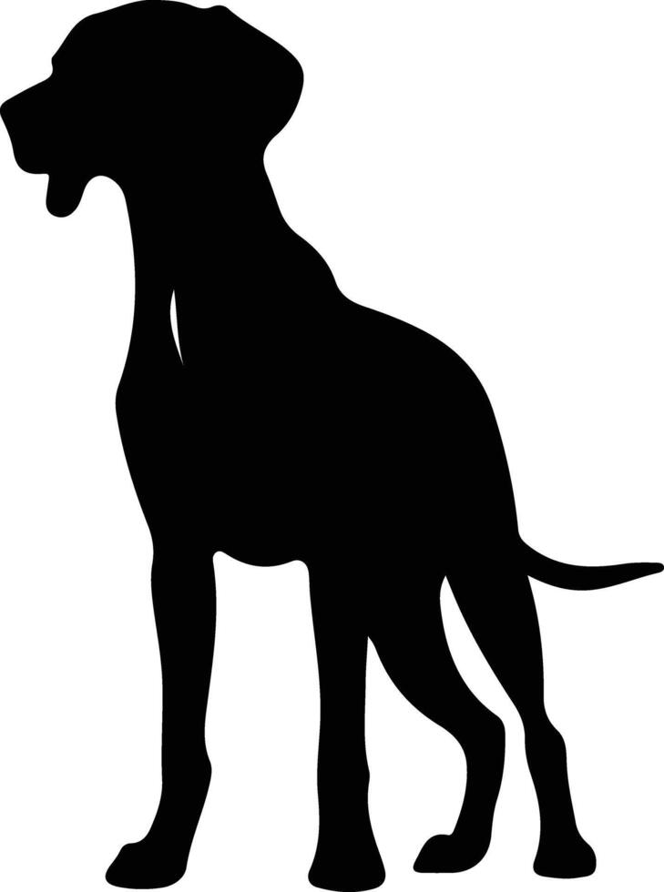 Vizsla   black silhouette vector