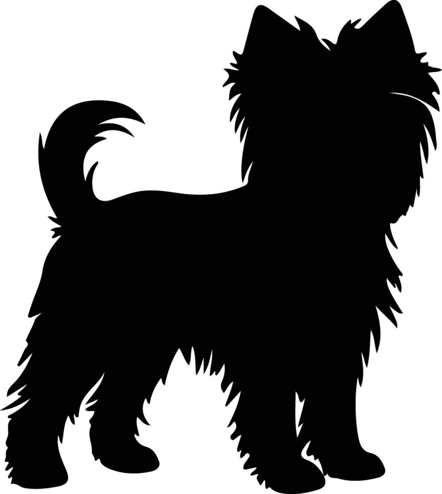 affenpinscher negro silueta vector