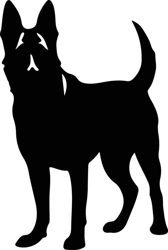 Belgian Malinois   black silhouette vector