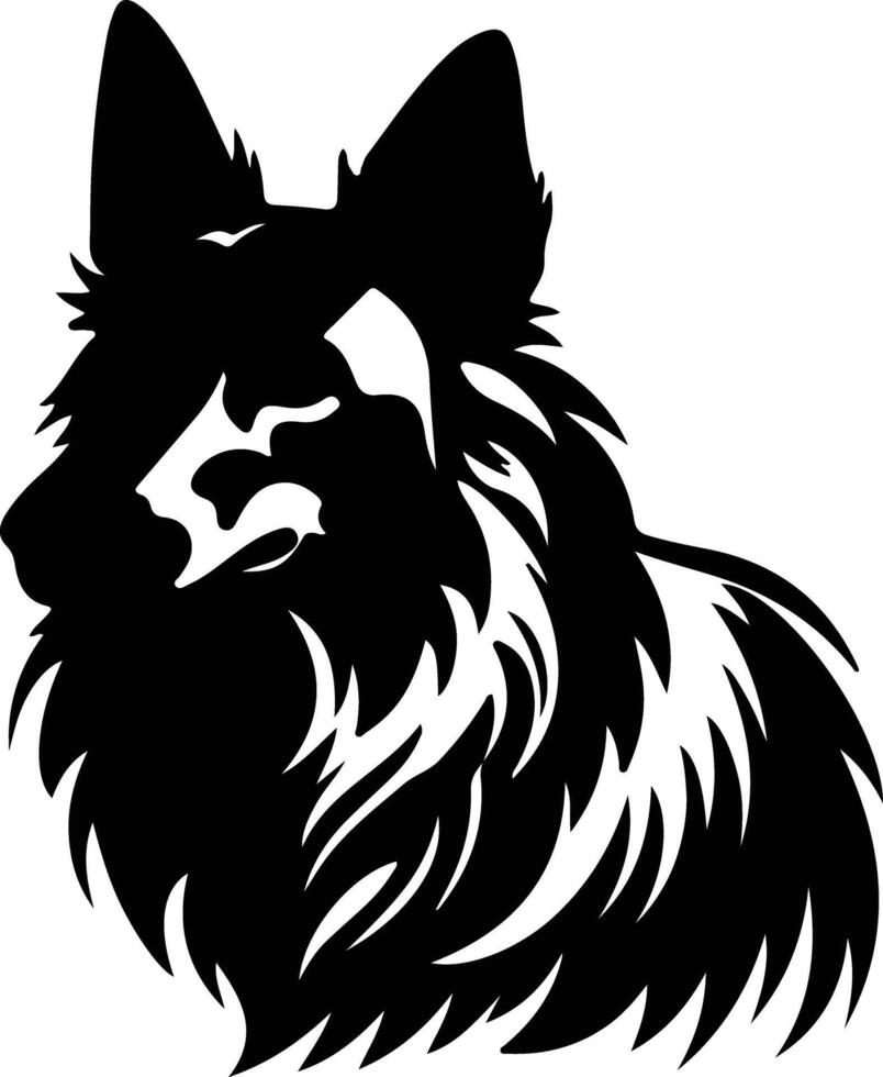 Belgian Tervuren   black silhouette vector