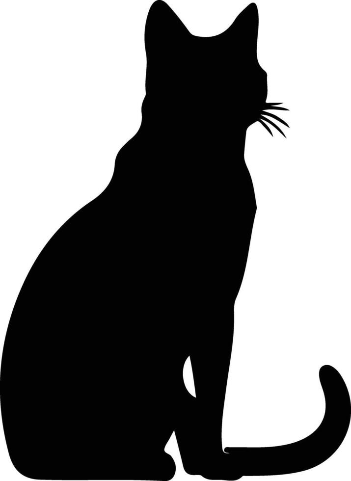 europeo cabello corto gato negro silueta vector