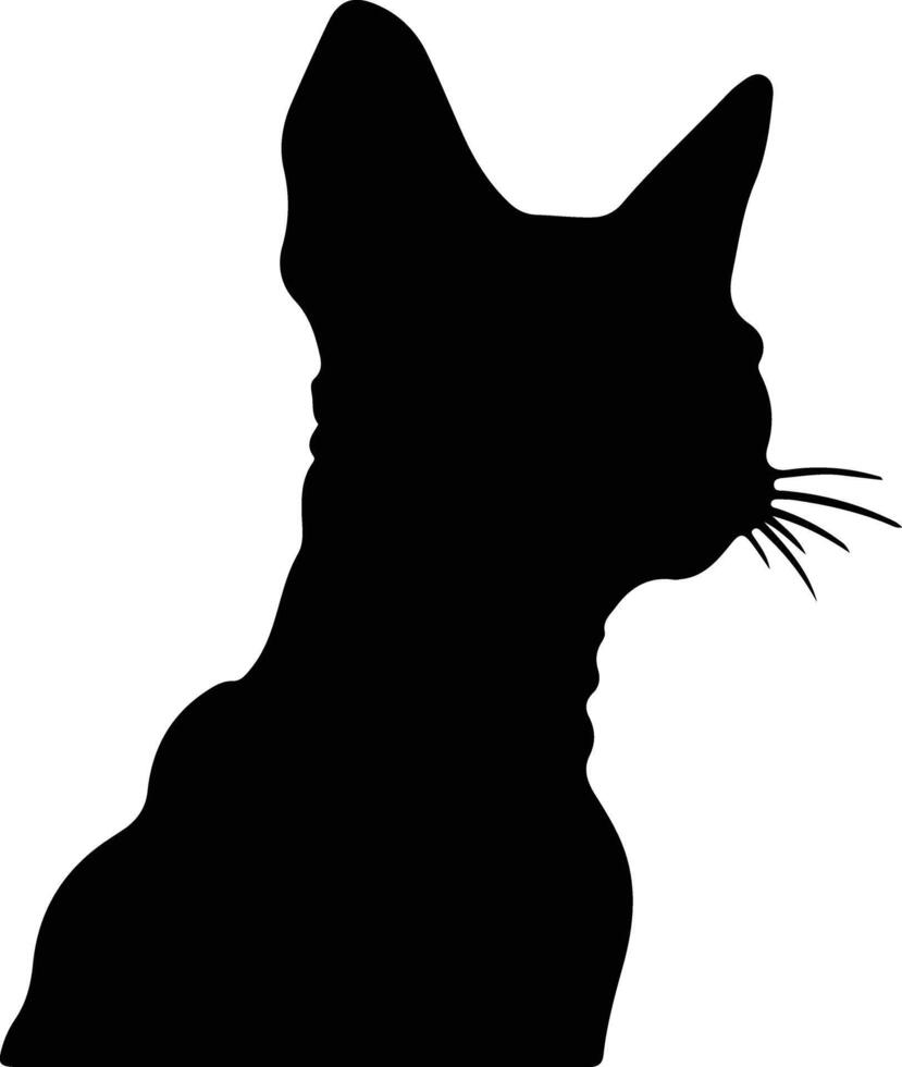 Devon Rex Cat  black silhouette vector