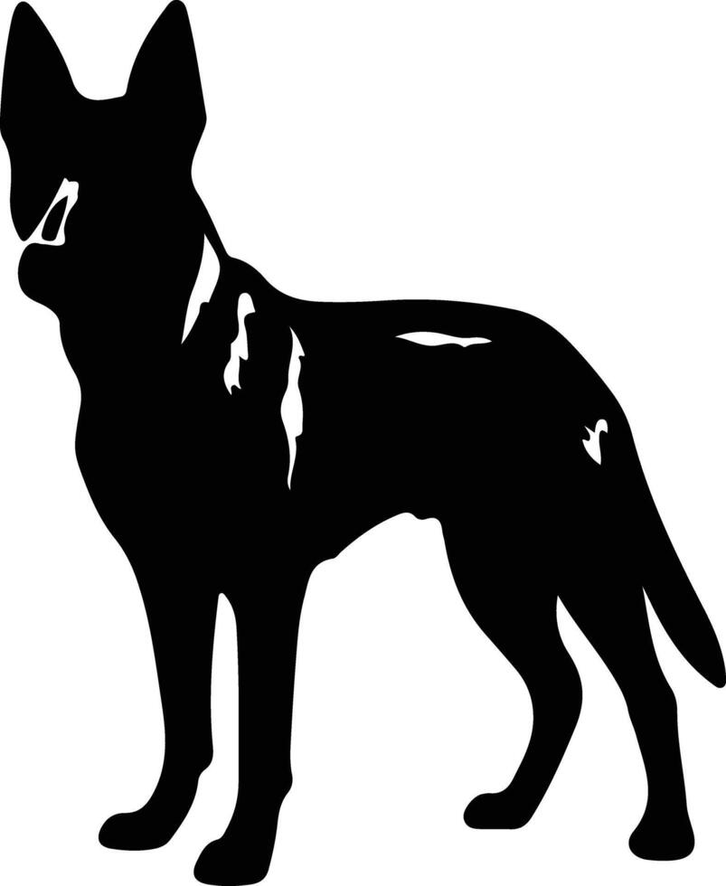 Belgian Malinois   black silhouette vector