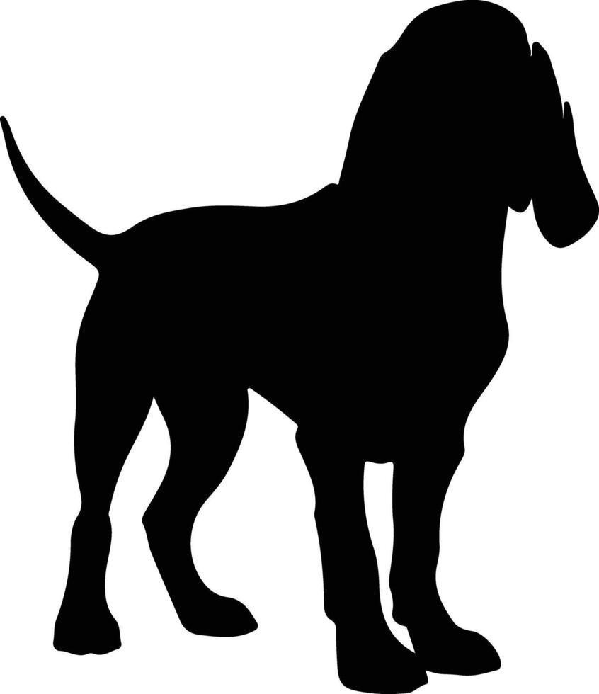Bloodhound   black silhouette vector