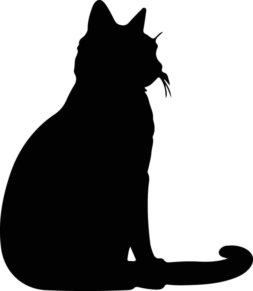 Javanese Cat  silhouette portrait vector