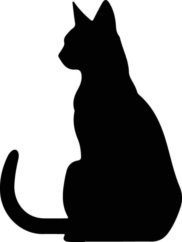 korat gato silueta retrato vector