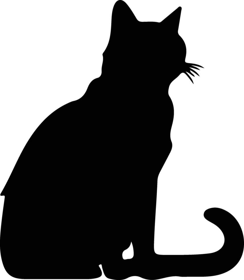 American Shorthair Cat  black silhouette vector