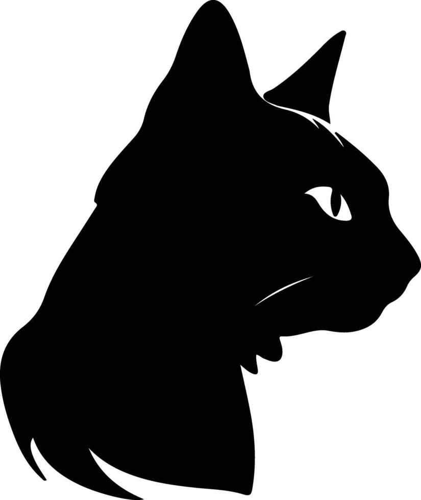 Singapura Cat  silhouette portrait vector