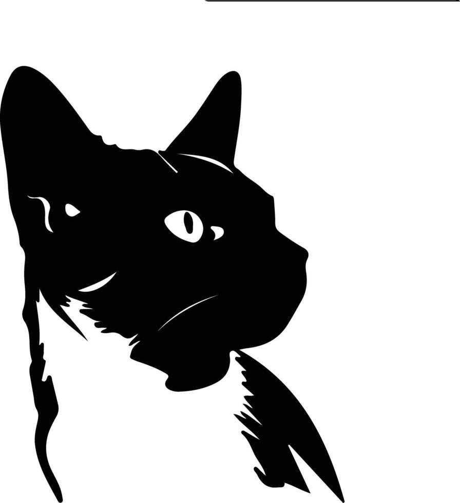 Snowshoe Cat  silhouette portrait vector