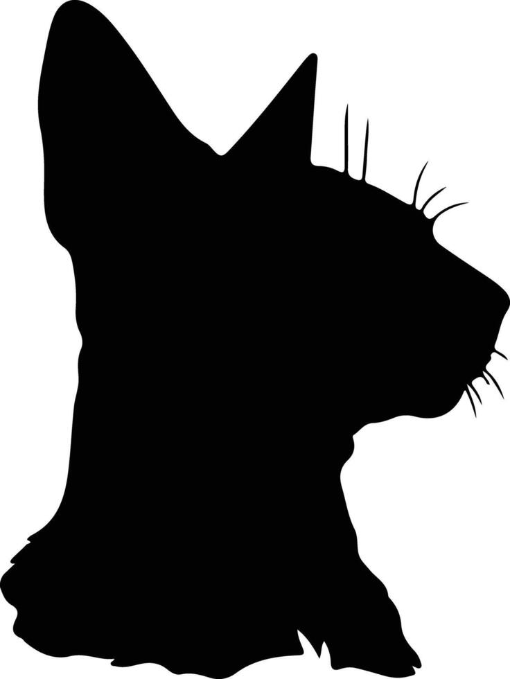 peterbald gato silueta retrato vector