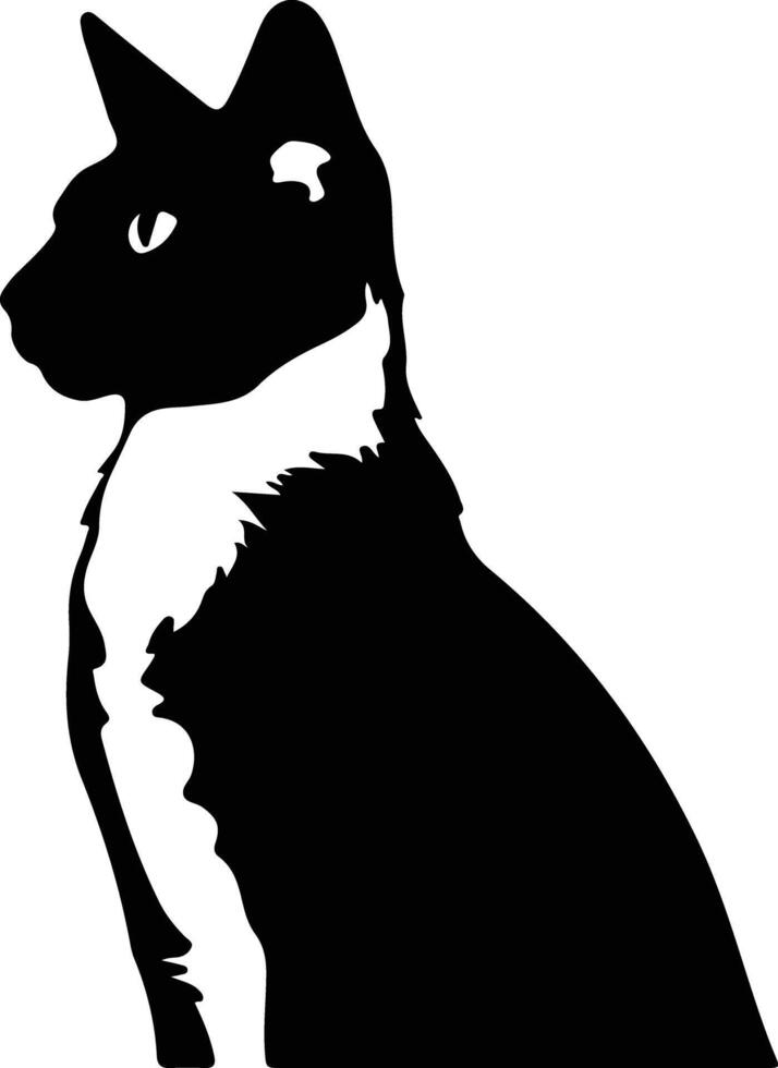 Snowshoe Cat  silhouette portrait vector