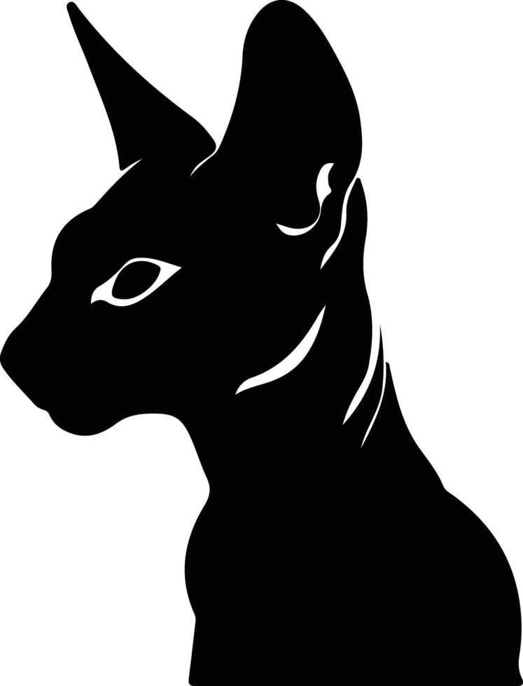 Peterbald Cat  silhouette portrait vector