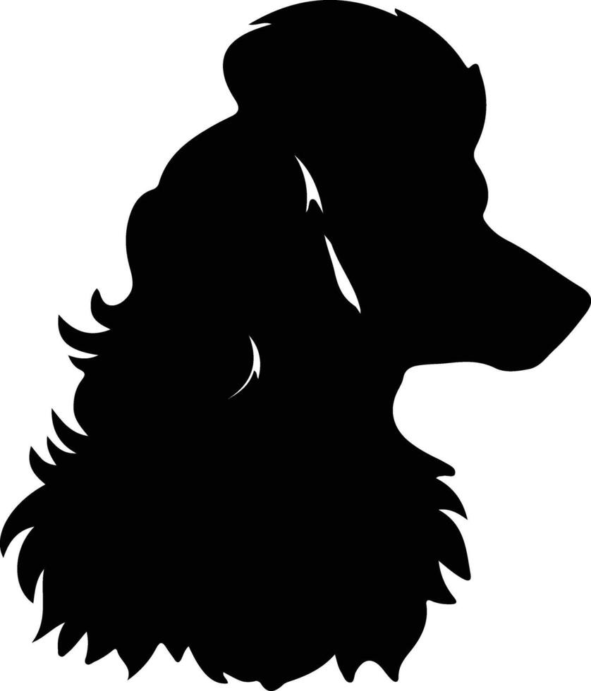 Poodle  silhouette portrait vector