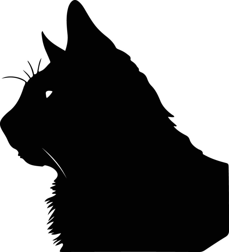 Somali Cat  silhouette portrait vector