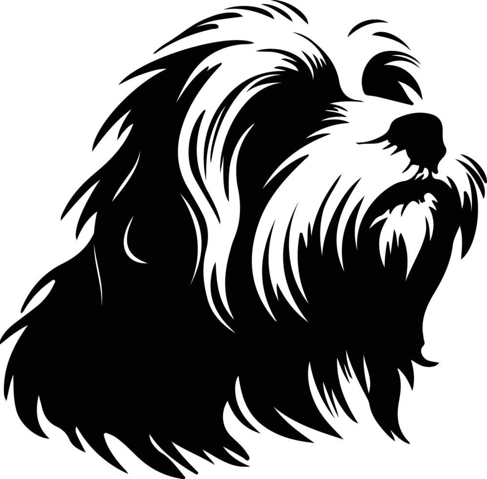 Cotondetulear  silhouette portrait vector