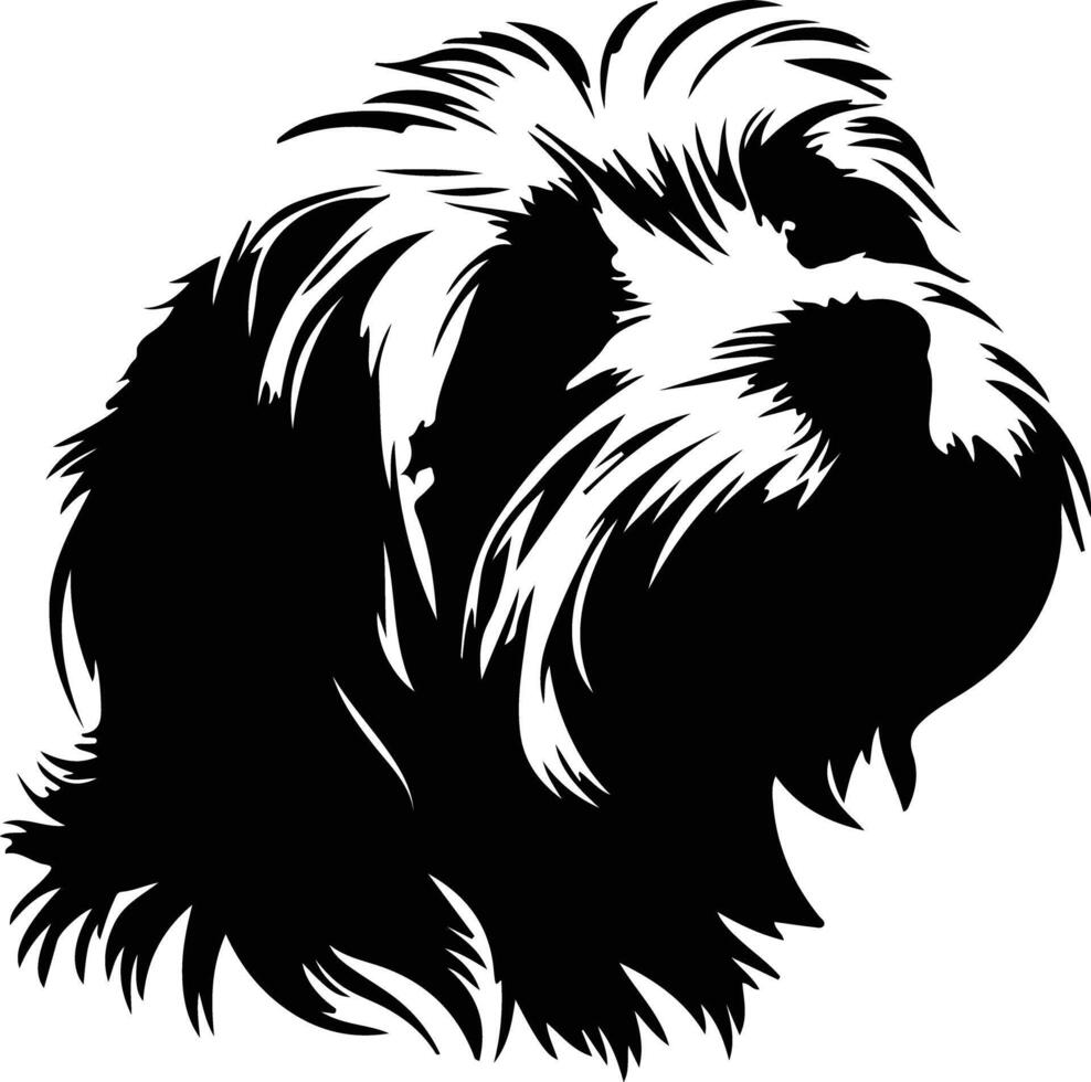 cotondetulear silueta retrato vector