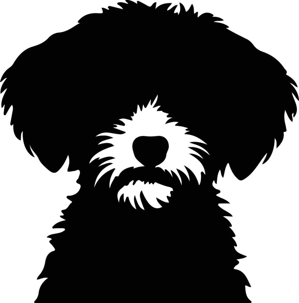 Bichon Frise  silhouette portrait vector