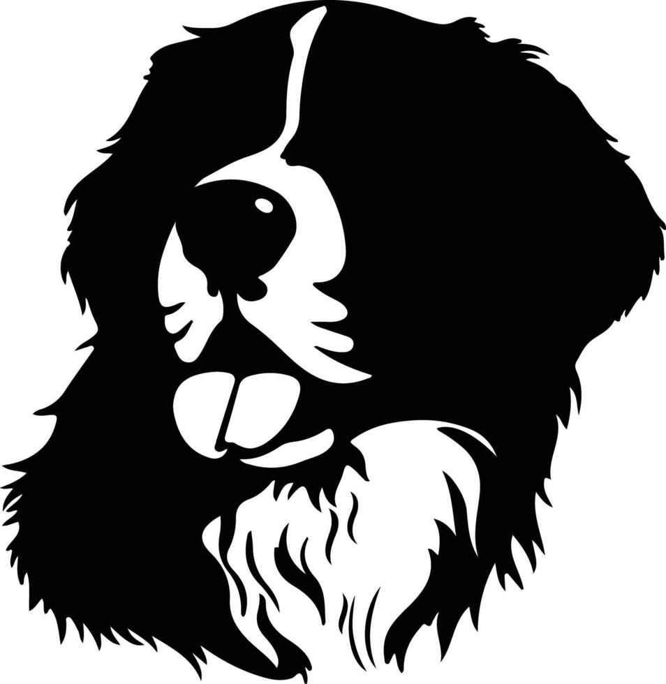 Bernese Mountain Dog  silhouette portrait vector