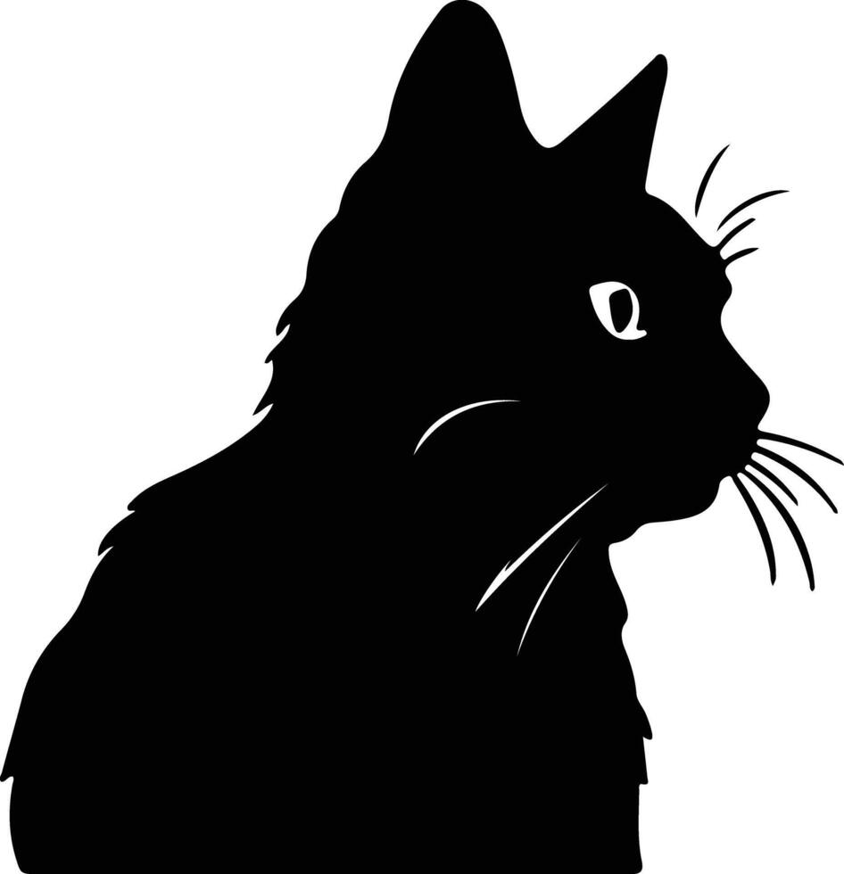 American Wirehair Cat  silhouette portrait vector