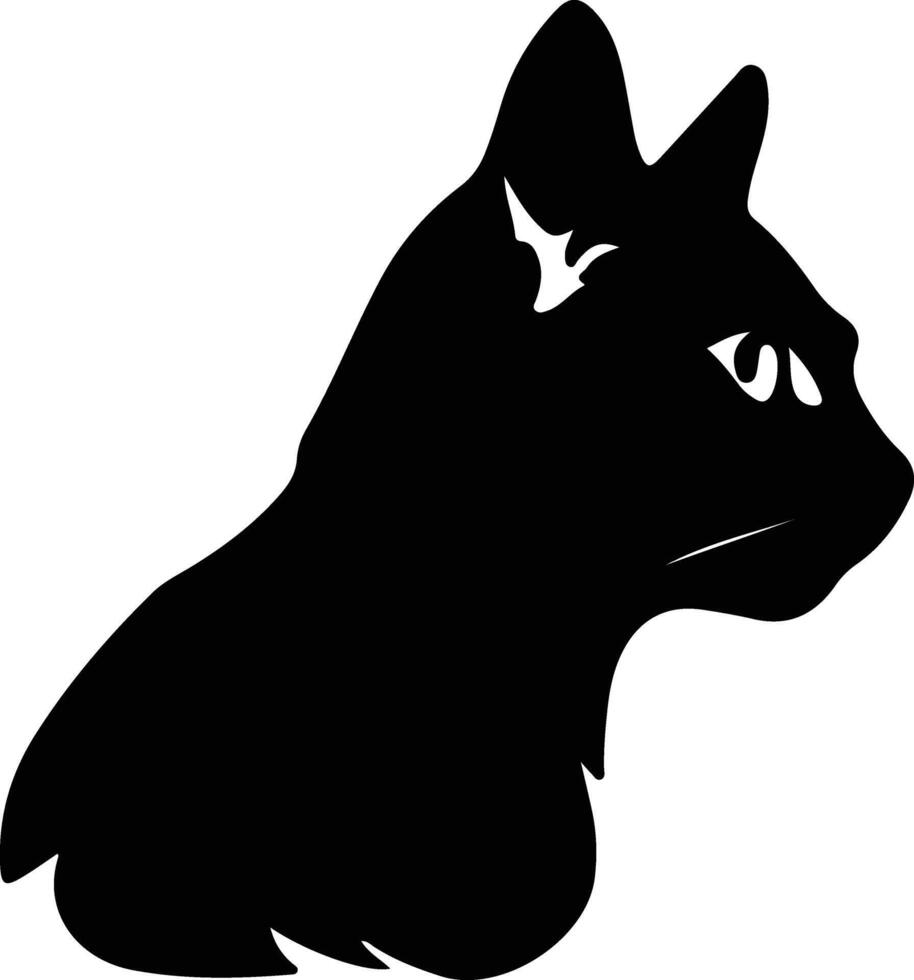 American Wirehair Cat  silhouette portrait vector