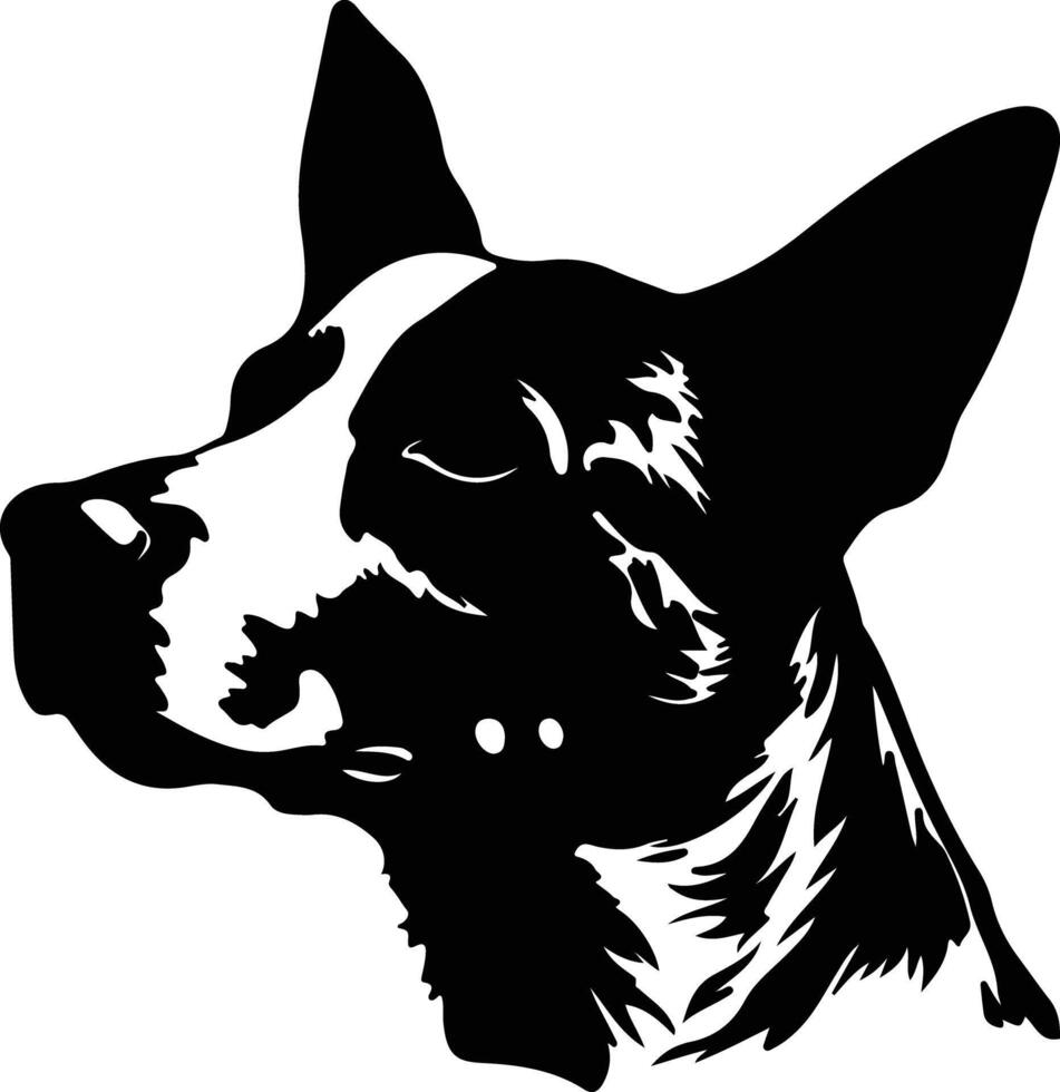 Australian Cattle Dog silhouette portrait vector