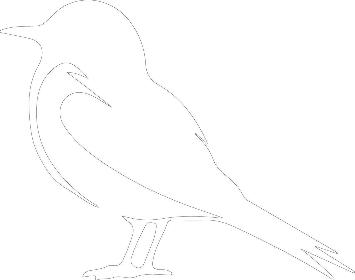 Arctic tern  outline silhouette vector