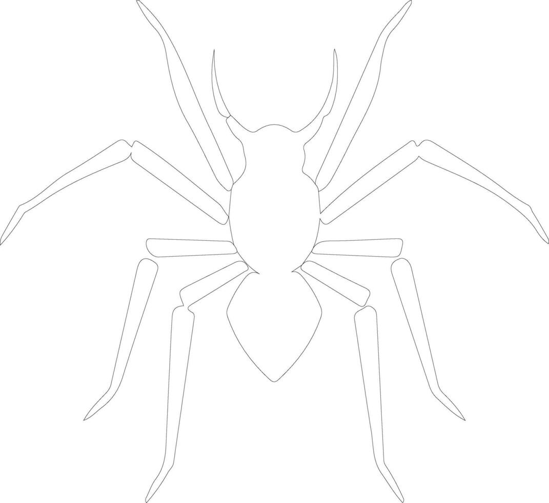 assassin bug  outline silhouette vector