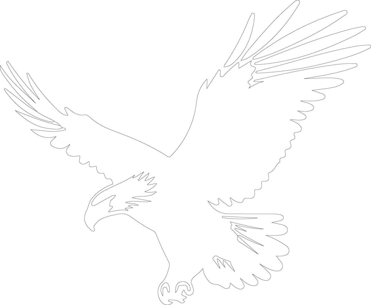 bald eagle outline silhouette vector