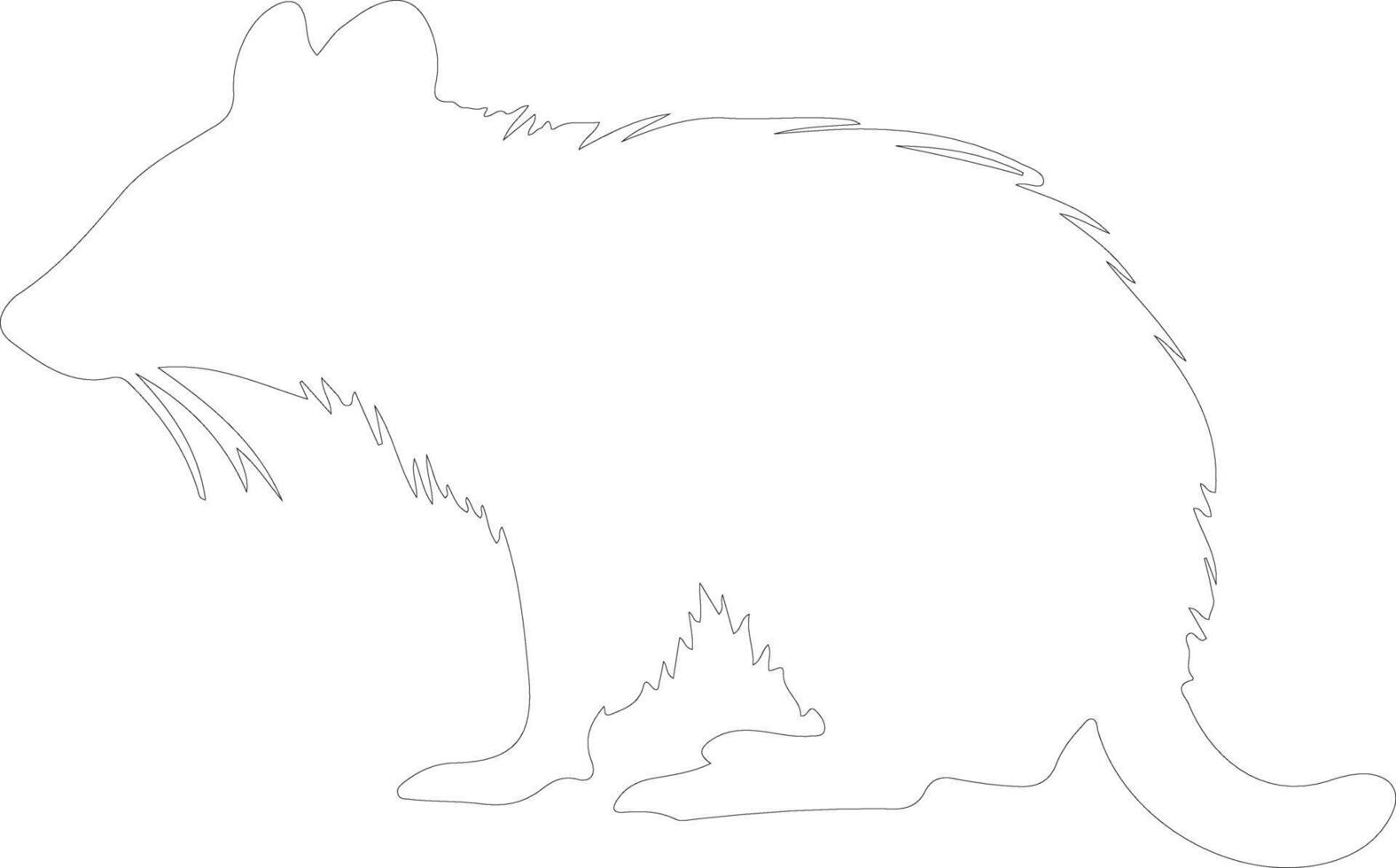 bandicoot  outline silhouette vector