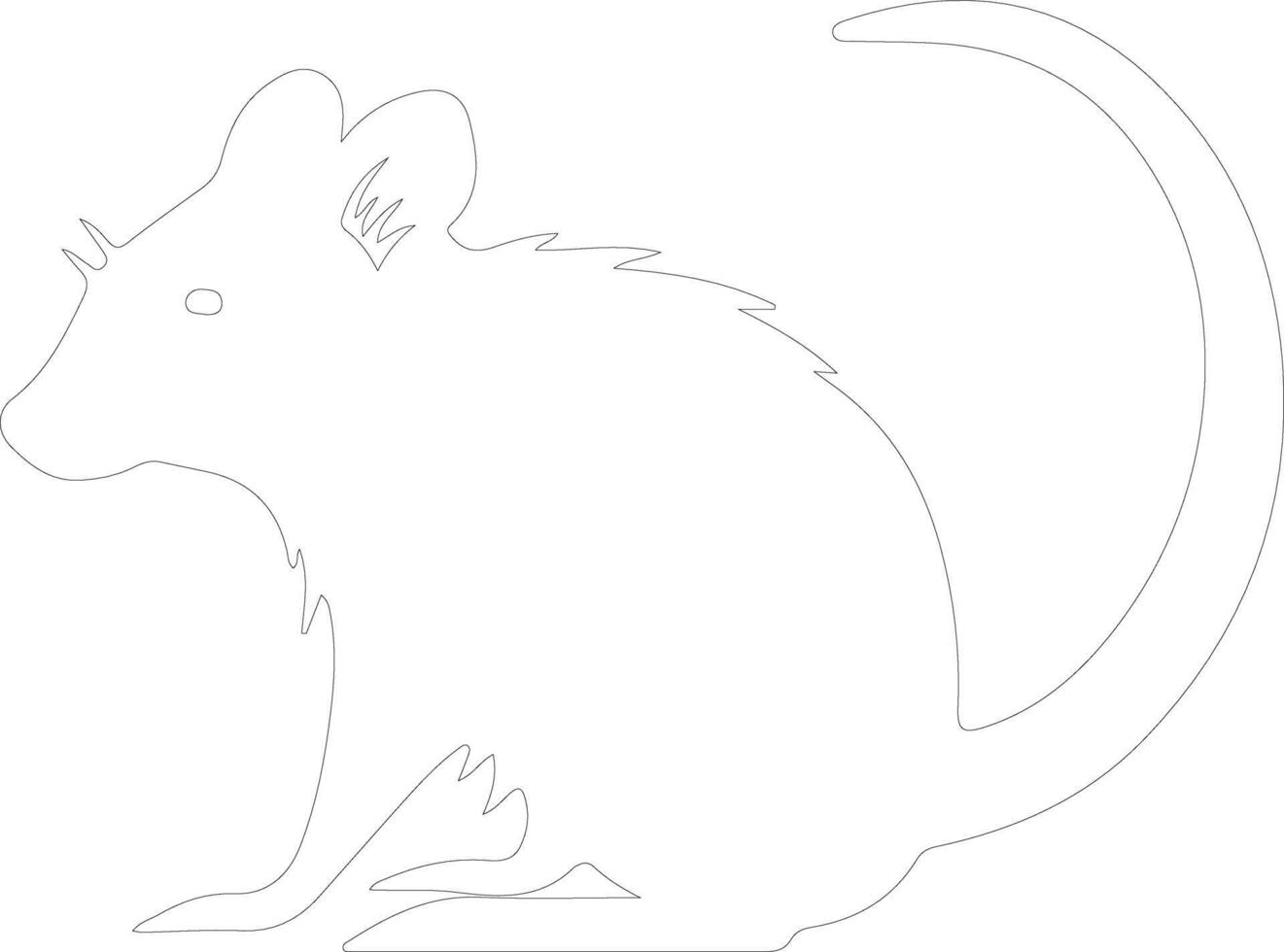 bandicoot  outline silhouette vector