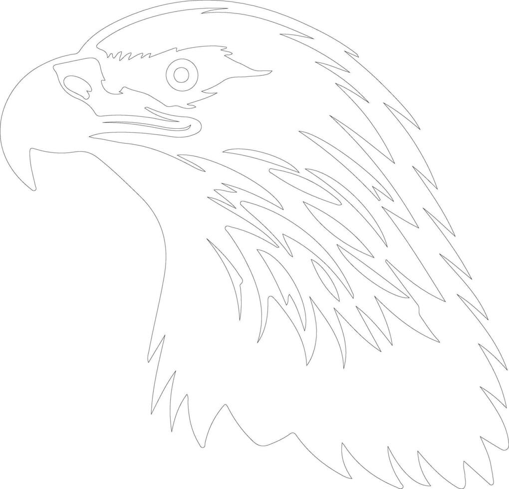 calvo águila contorno silueta vector