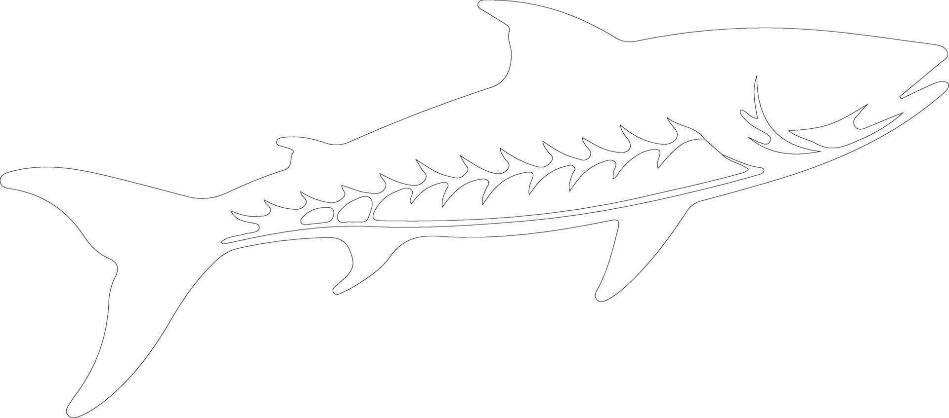 barracuda  outline silhouette vector