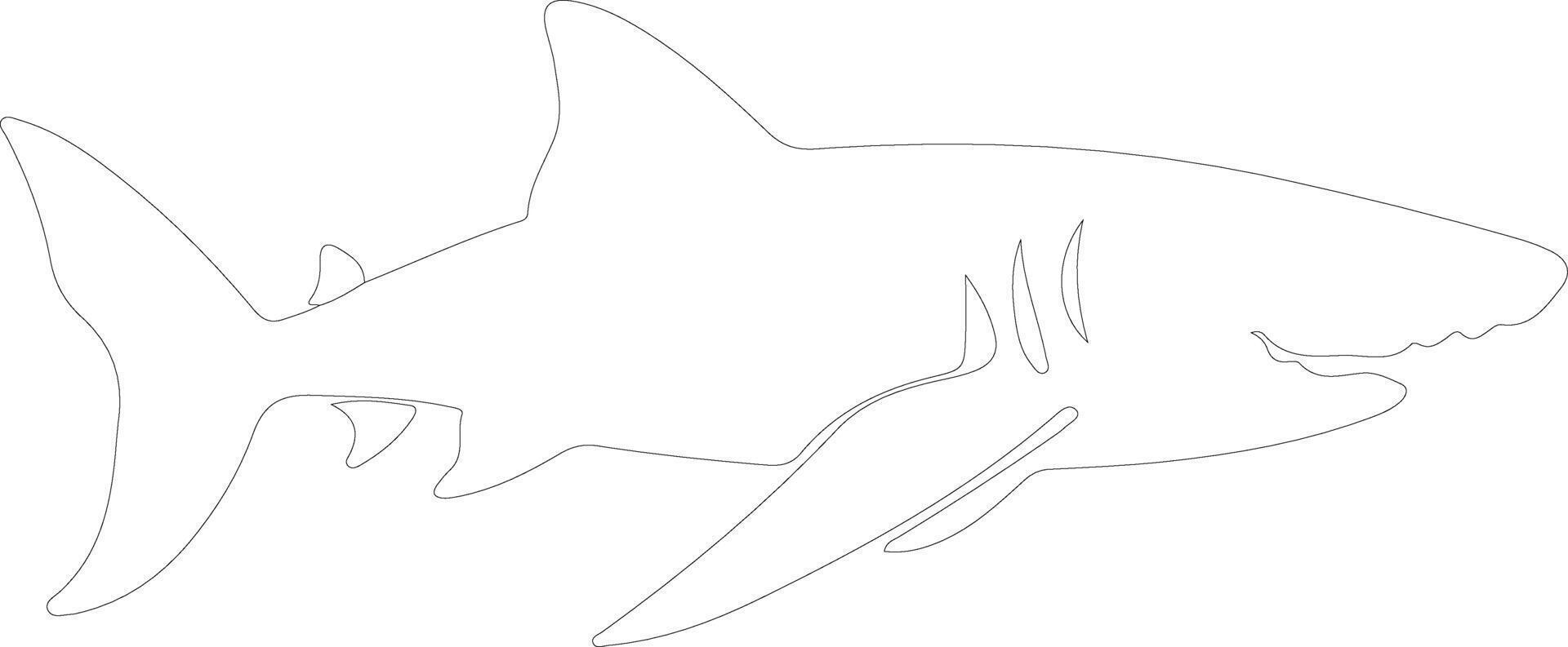 basking shark  outline silhouette vector