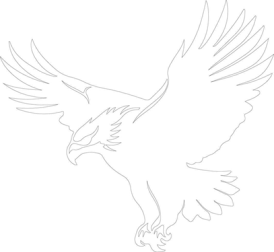 bald eagle  outline silhouette vector